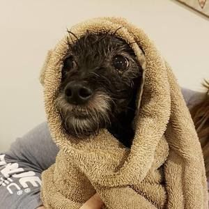 Meet your Posher, Michele